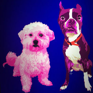 Meet your Posher, Swag &